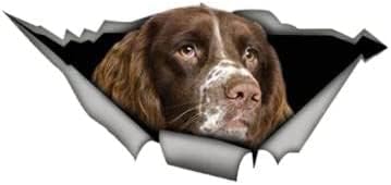 ROMOER 2 Stück Autoaufkleber, 22 cm, Lustiger Springer Spaniel, Autoaufkleber, Zerrissenes Metall, Reflektierende Aufkleber, Wasserdicht, Auto-Styling, Haustier-Hunde-Aufkleber (2887) von ROMOER