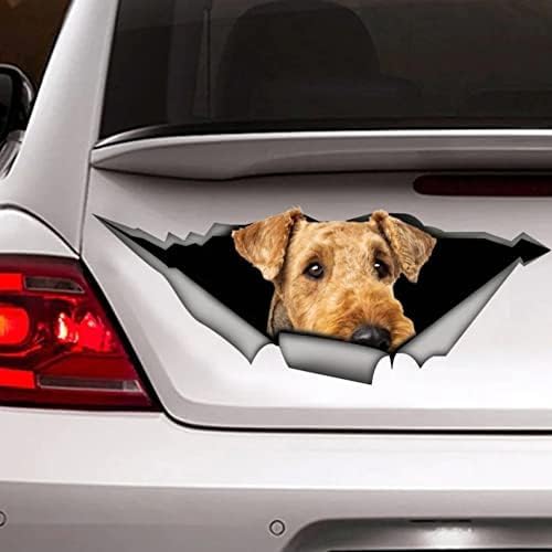 ROMOER 2PCS Hundeaufkleber, Auto -Aufkleber, Vinyl -Aufkleber, Haustieraufkleber, Hundeabziehall von ROMOER