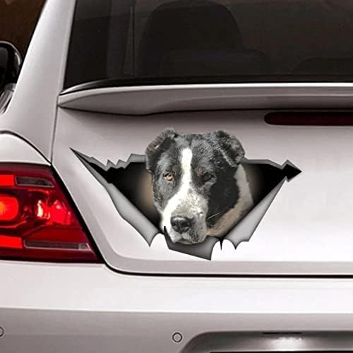 ROMOER 2PCS Schwarz -Weiß -Hund -Aufkleber, Auto -Aufkleber, Haustieraufkleber, Hundeabziehal von ROMOER