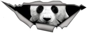 ROMOER 2pcs 12-Zoll-Panda-Aufkleber 3D Fun Sticker/Autofenster, Laptop, Motorradaufkleber von ROMOER