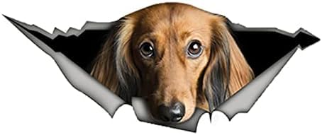 ROMOER 2pcs Hundauto Aufkleber Haustierhund Zerrissene Metall -Aufkleber Reflektierende Wasseraufkleber 3D -Aufkleber Vinyl, 13 cm*5 cm Laptop Koffer Accessoires Auto -Aufkleber von ROMOER