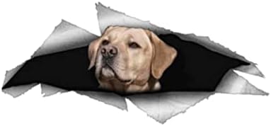 ROMOER 2pcs Labrador Hundtiertaste Für Fahrzeug Van 3D Pet Grafik Vinyl Autofenster Laptop Animalauto Aufkleber 13 cm X 5,9 cm Dekorationsaufkleber von ROMOER