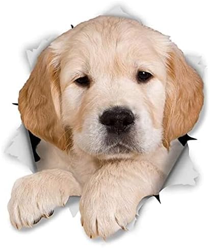 ROMOER Alanz 2pcs 3D Hund Niedliche Golden Retriever Welpenwagen Aufkleber Für Die Wandkühlschrank Toilette Custom, 12 cm*9 cm Laptop Koffer -LKW -Zubehör Dekoration Aufkleber von ROMOER