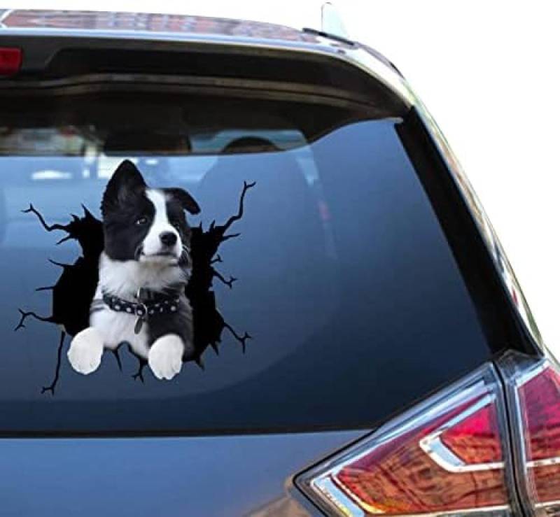 ROMOER Border Collie Aufkleber Border Collie Autofensteraufkleber Lustige Witze Vynal Autoaufkleber Für Neue Fahrer Lustige Meme Bumber Automotive Aufkleber von ROMOER