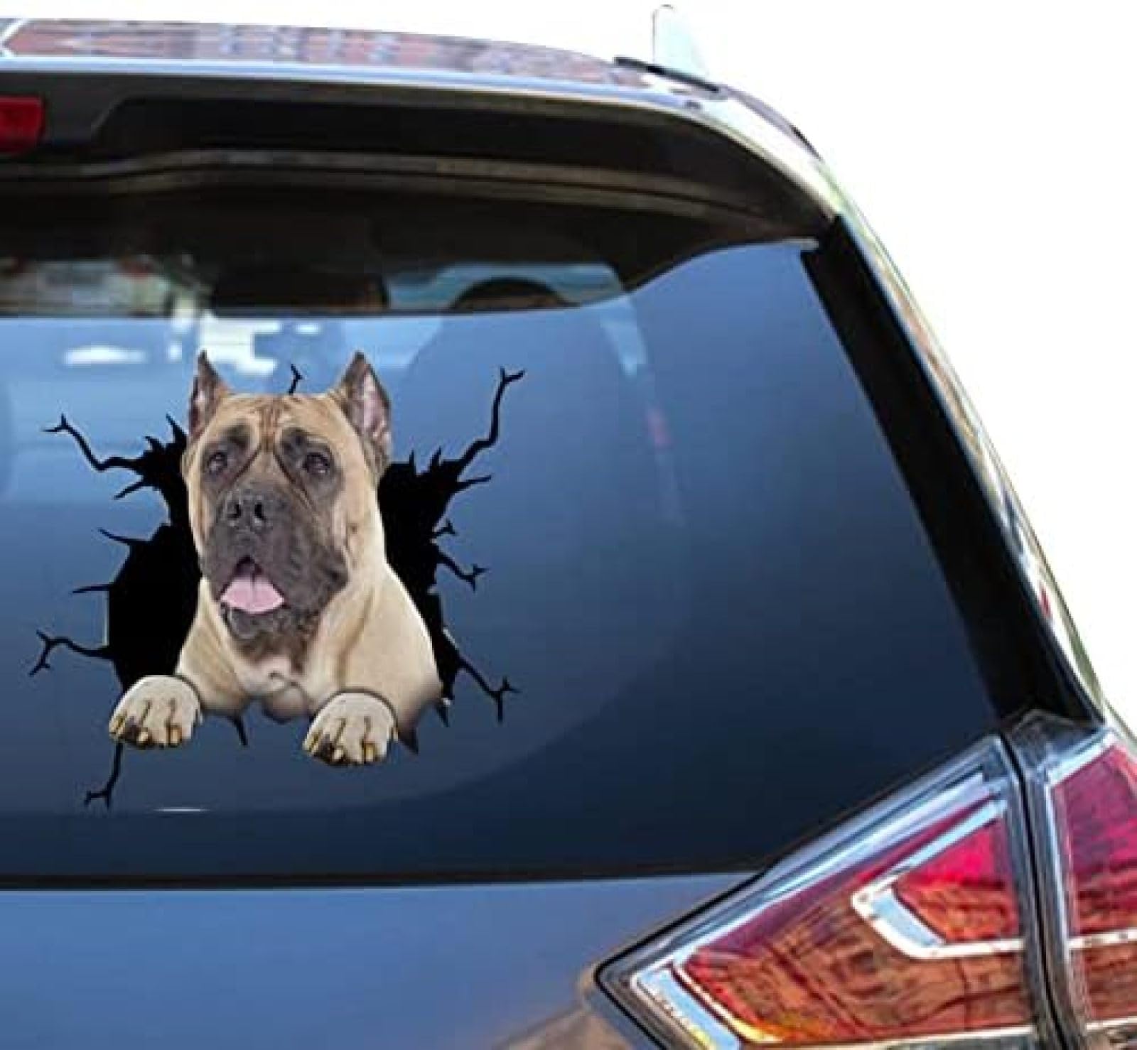 ROMOER Cane Corso Zubehör Can Am Aufkleber Aufkleber Meme Bumber Autos Aufkleber Für Mädchen wasserdichte Fensteraufkleber von ROMOER