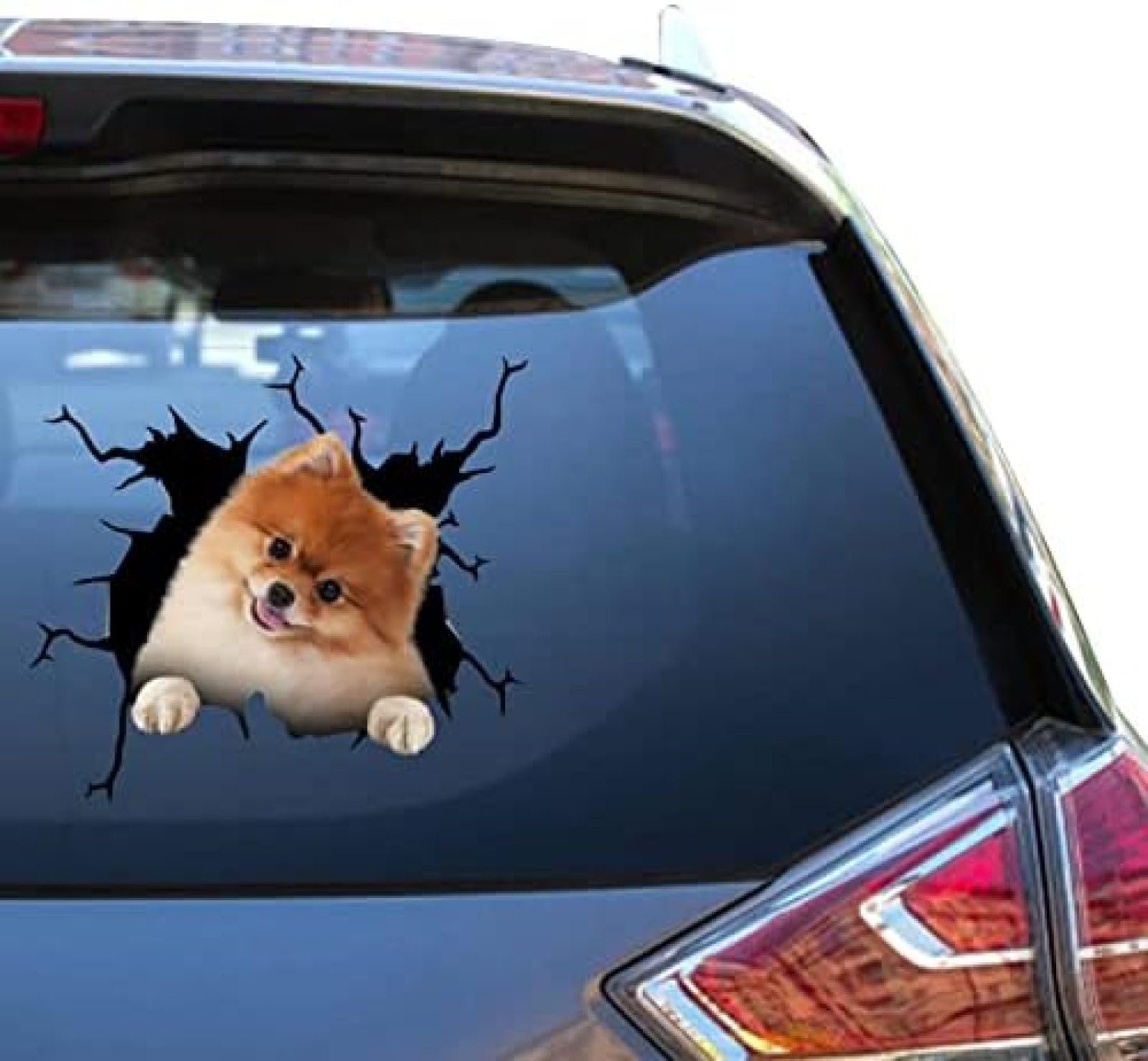 ROMOER Pomeranian-Aufkleber, Aufkleber, Pomeranian-Hund, Geschenke, Lustiger, Warnender Autoaufkleber Für Neue Fahrer, 3D-Trucking-Sticker von ROMOER