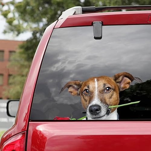 ROSSOM M1104# Für Jack Russell Terrier Hund Haustier Tier Auto Aufkleber wasserdichte Vinyl Aufkleber Auto Zubehör Decor Pegatinas para Coche von ROSSOM