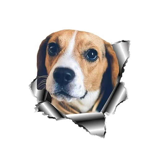 ROSSOM S50418# Persönlichkeit PVC Aufkleber Beagle Hund Wasserdicht Auto Aufkleber auf Motorrad Laptop Dekorativ von ROSSOM