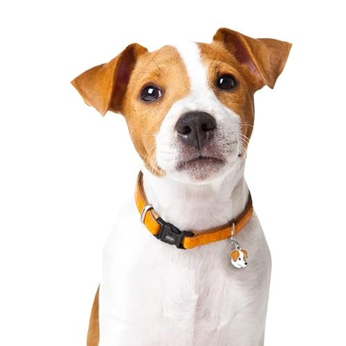 ROSSOM S52404# Stehender Jack Russell Terrier Hund Autoaufkleber Persönlichkeit Vinyl Aufkleber Wasserdichter Autoaufkleber auf Motorrad Laptop von ROSSOM