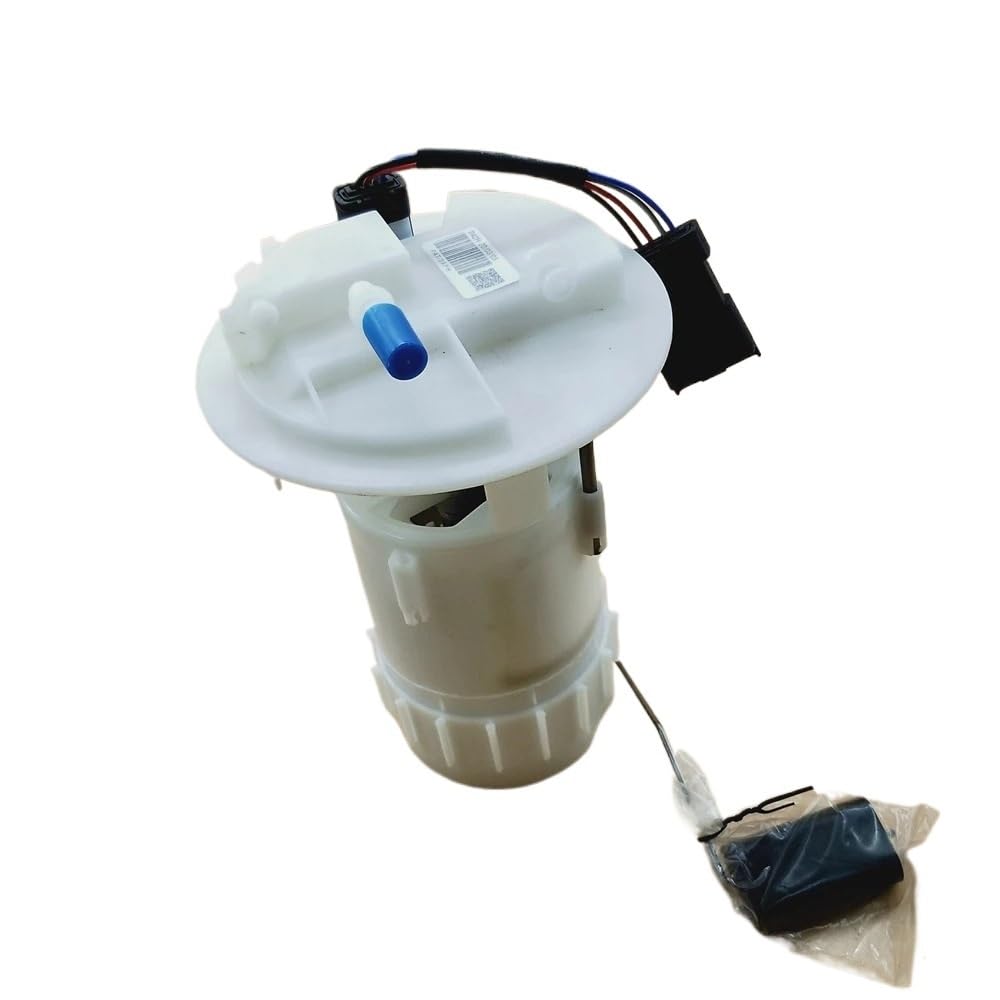 Fuel Pump Assembly Compatible with Citr Peu DS C3 C4 208 308 301 208 9674466680 9674467780 7507323 55063615 702552500 von RTFFHNV