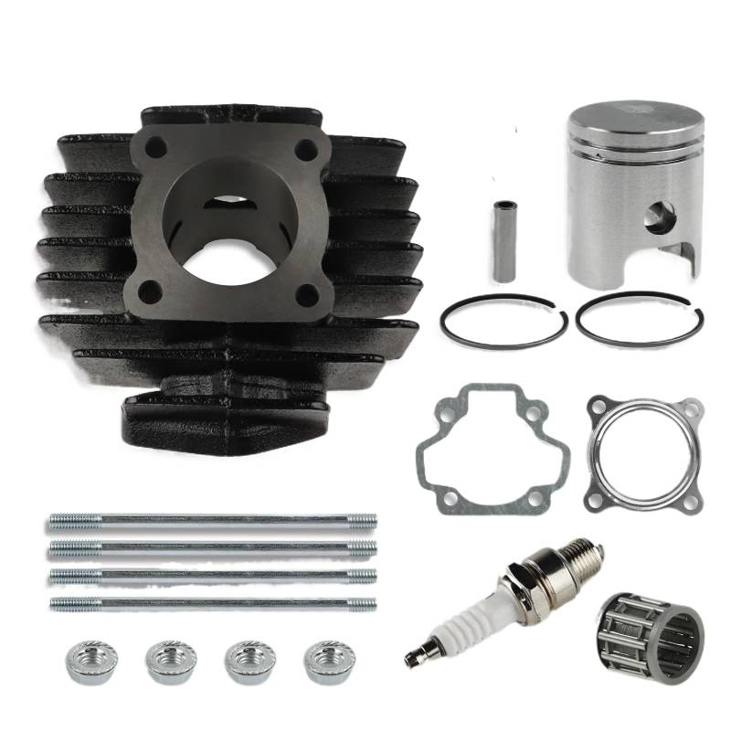 50cc Motor Zylinder Kit Kolben Ringe Dichtung Reparatur Set Kompatibel mit PW50 PW50 QT50 Dirt Bike Kinder Motorrad von RTqFZK