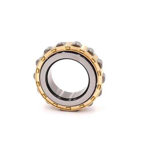 Reducer Parts Eccentric Bearing Cylindrical Bearing RN205 / RN206 / RN307 / RN309 / RN312 / RN219 / RN222 / RN228 RUAJOGYNVM(RN222) von RUAJOGYNVM