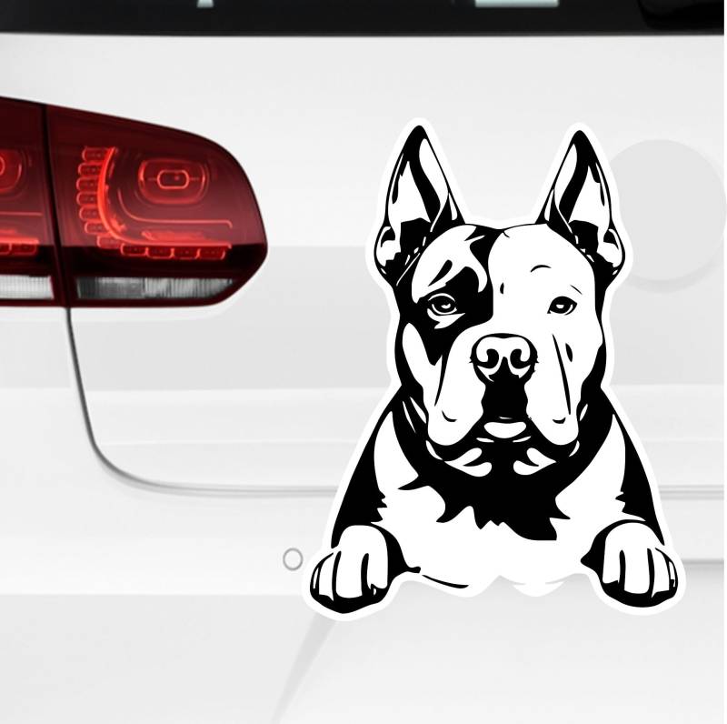 Rakelfix American Pitbull Terrier Aufkleber Sticker Hunde Hunde Dog Personalisierbar Name,Text,Größe Wunschtext Auto Autoaufkleber Wandtattoo von Rakelfix