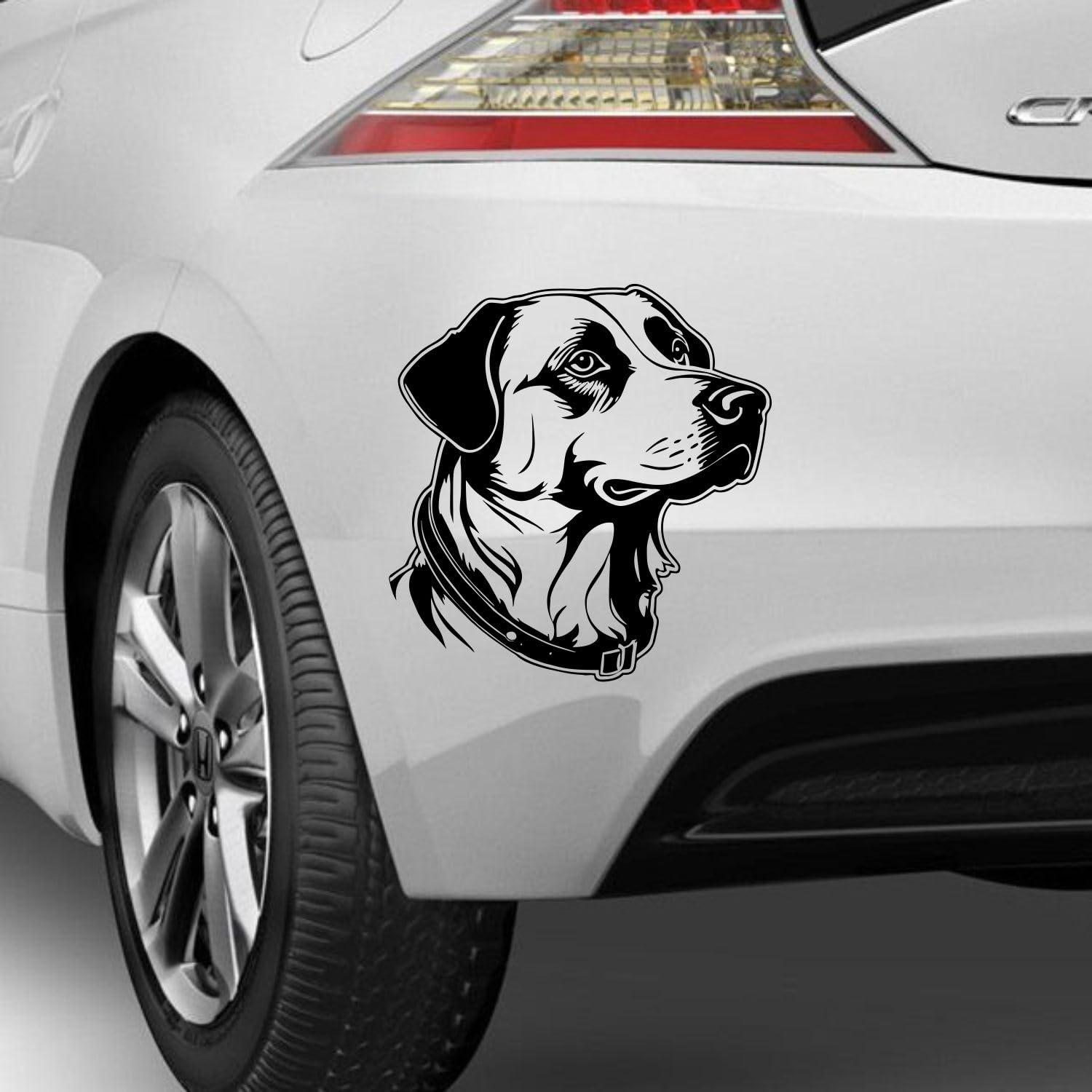 Rakelfix Istrianer Bracke Aufkleber Sticker Hunde Hunde Dog Personalisierbar Name,Text,Größe Wunschtext Auto Autoaufkleber Wandtattoo von Rakelfix