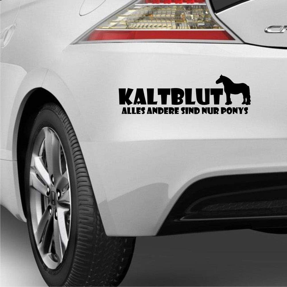 Rakelfix KALTBLUT Alles andere sind nur Ponys ca.30cm lustiger Spruch reiten Pferdeliebe Aufkleber Autoaufkleber Sticker von Rakelfix