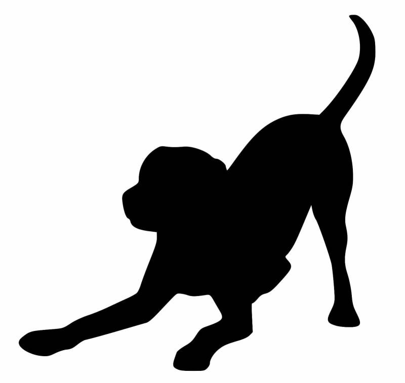 Rakelfix Labrador Hund Spielen toben Aufkleber Größe&Farbe ANPASSBAR Sticker Autoaufkleber Lack Scheibe Wand von Rakelfix