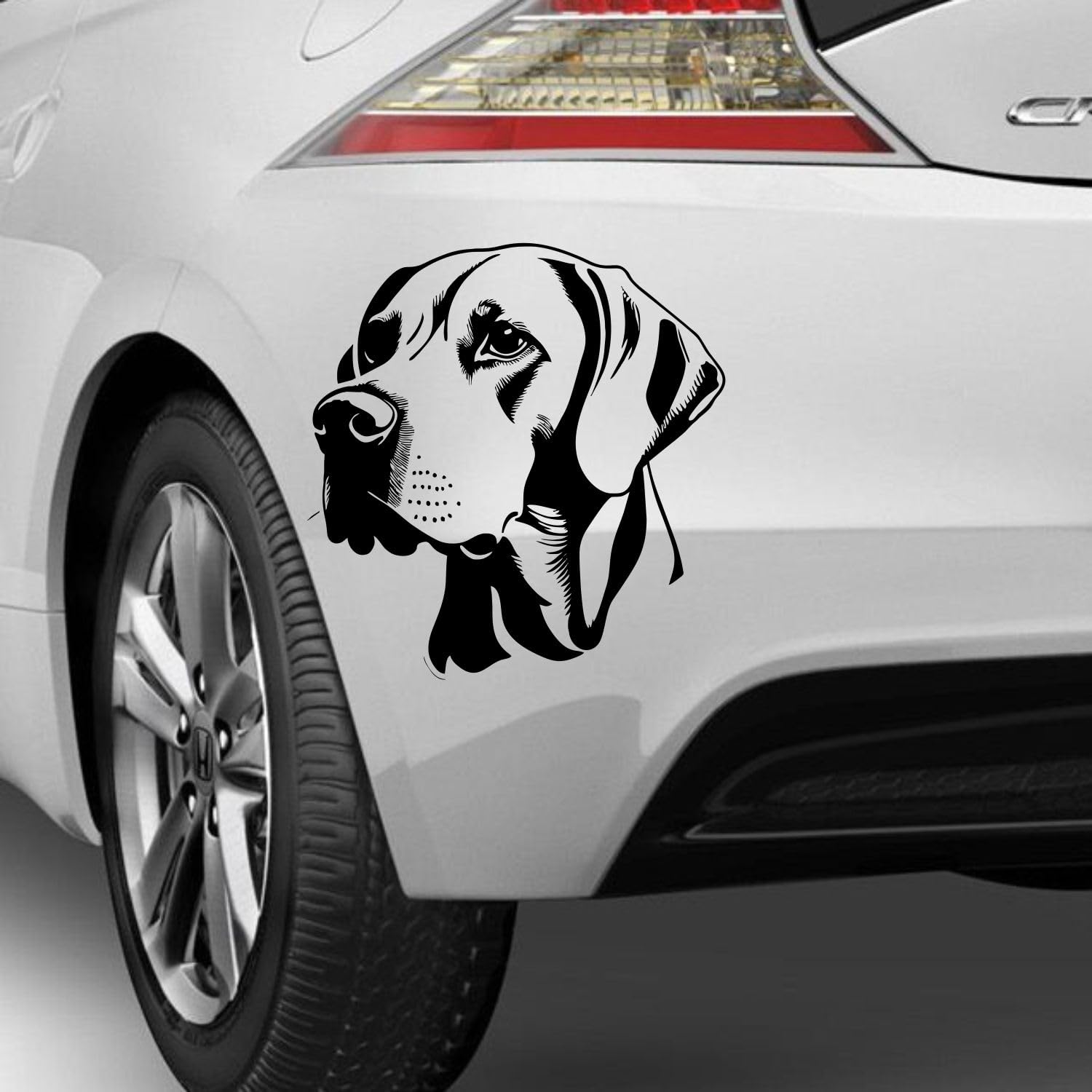 Rakelfix Magyar Vizsla Aufkleber Sticker Hunde Hunde Dog Personalisierbar Name,Text,Größe Wunschtext Auto Autoaufkleber Wandtattoo von Rakelfix