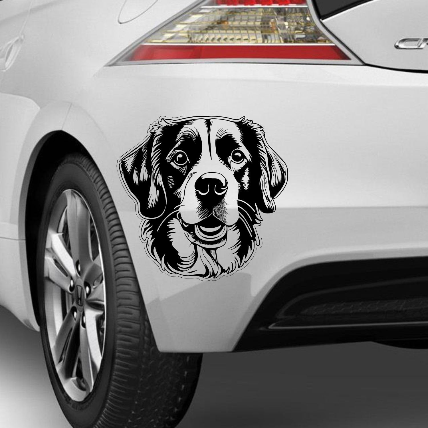 Rakelfix Nederlandse Kooikerhondje Aufkleber Sticker Hunde Hunde Dog Personalisierbar Name,Text,Größe Wunschtext Auto Autoaufkleber Wandtattoo von Rakelfix