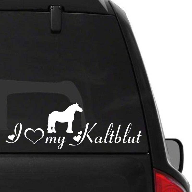 Rakelfix Pferde Silhouette Typ2 ca 40cm mit Schriftzug I Love My Kaltblut Herz Liebe reiten Aufkleber Sticker Profi Qualität von Rakelfix