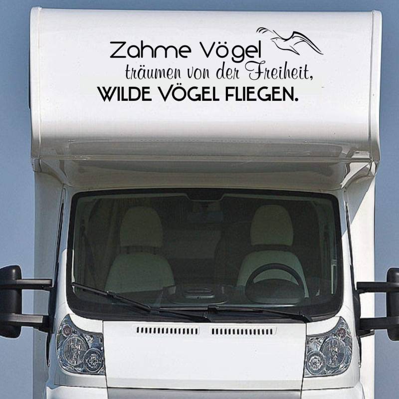 Rakelfix Wohnmobil Wohnwagen Aufkleber Spruch ca 130cmx40cm Zahme Vögel träumen von der Freiheit, Wilde Vögel fliegen mit Möwe von Rakelfix