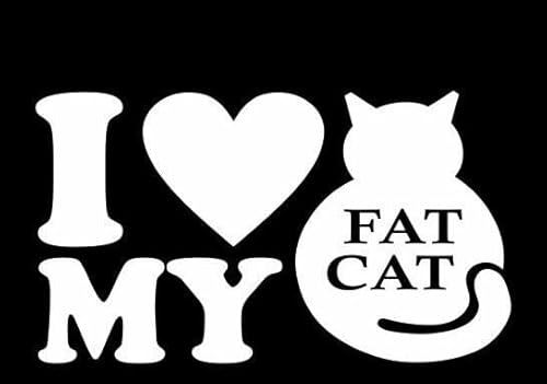 Rakelfix ich Liebe Meine Dicke Katze i Love My Fat cat Aufkleber Größe/Farbe ANPASSBAR Sticker Autoaufkleber von Rakelfix