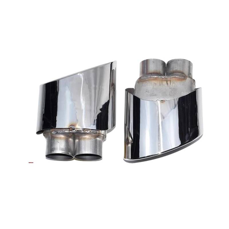 Auspuffrohr 2Pcs Für RS3 RS4 RS4 RS5 RS6 RS7 Auspuff Spitze Doppel Innere Schalldämpfer Spitze Für S3 S4 S5 S6 Abgasanlage Schalldämpfer Endrohr Auspuffblende(Silvre 2) von Rdtnvc