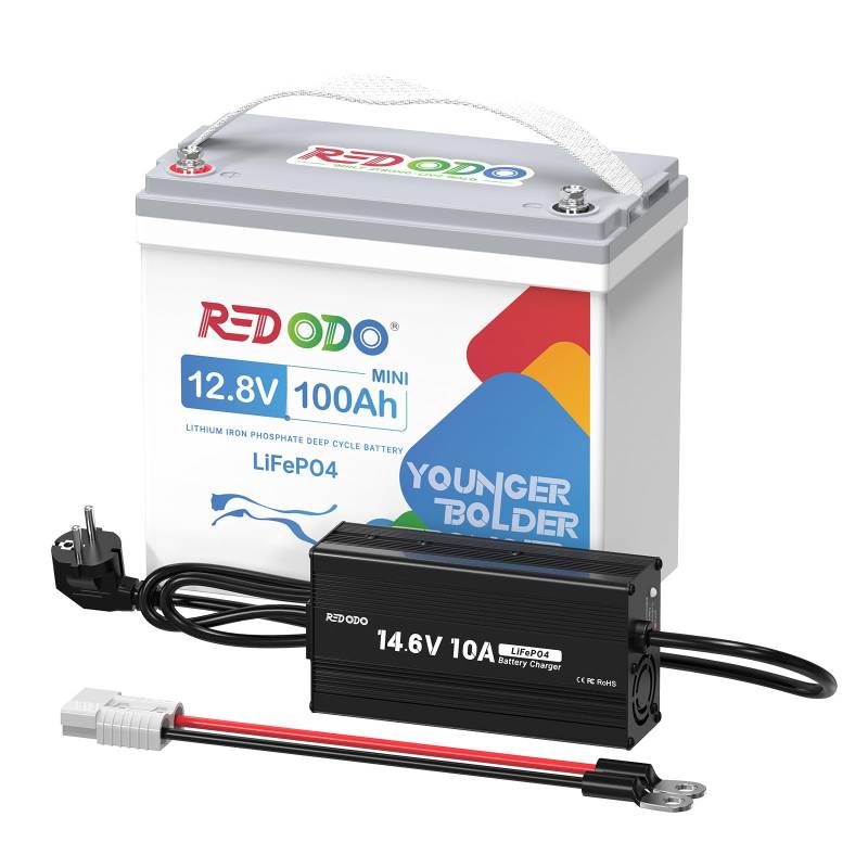 Redodo 12V 100Ah LiFePO4 Mini Lithiumbatterie mit 14,6V 10A Ladegerät, verbessertes 100A BMS Schutz, 10 Jahre Lebensdauer mit bis zu 15.000 Zyklen, max. 1280Wh, LiFePO4-Akku für Wohnmobile von Redodo