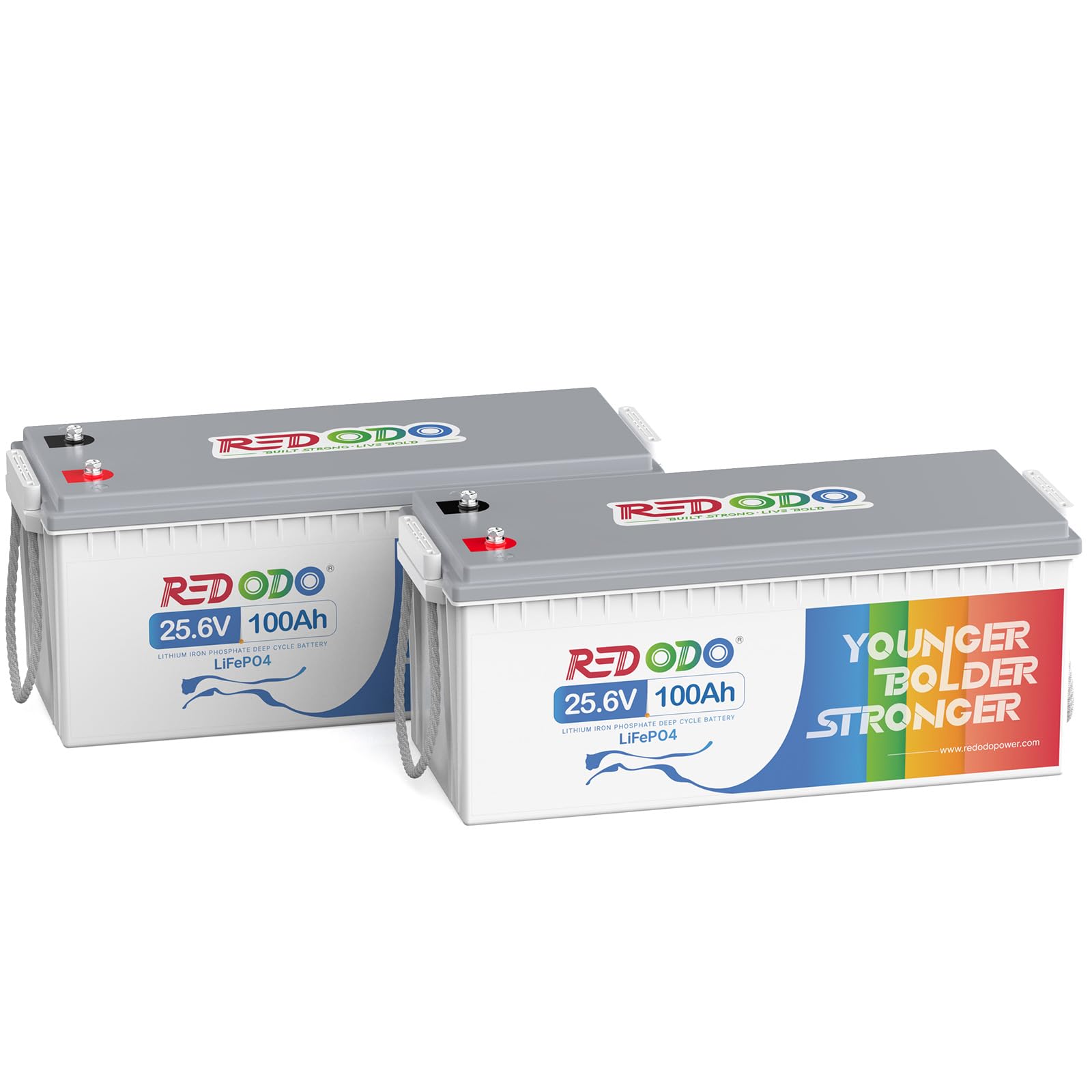 Redodo [2 Pack] 24V 100Ah LiFePO4 Lithium Batterie, Eingebautes 100A BMS, mit Max. 2560W Ladeleistung, 4000+ Zyklen Akku, Perfekt für Wohnmobil, Off-Grid System von Redodo