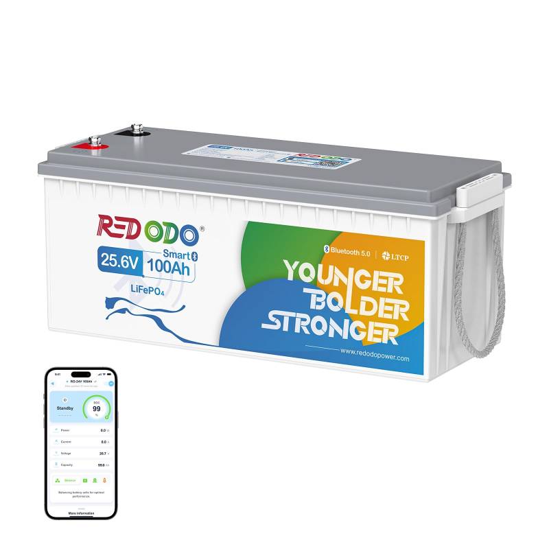 Redodo 24V 100Ah Bluetooth LiFePO4 Batterie, 2560Wh Tiefzyklus Lithium Batterie mit Smart BMS, Niedrigtemperaturschutz, Perfekte Bleisäure Ersatzbatterie für Wohnmobil, RVs, Wohnwagen, Solarsystem von Redodo