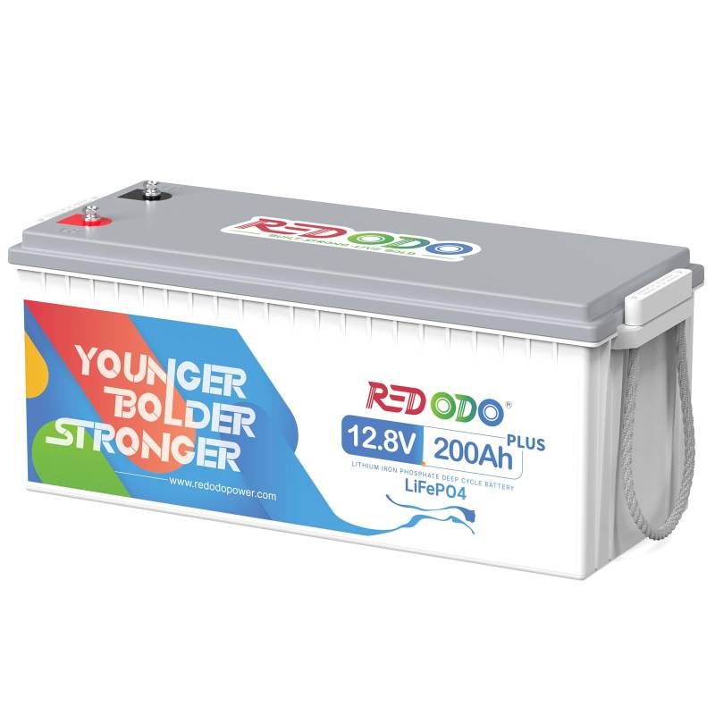 Redodo LiFePO4 Batterie 12V 200Ah Plus mit 200A BMS, über 4000-15000+ Zyklen, 2 fache Lebensdauer Eingebautes, Perfekter Ersatz für Blei-Säure, AGM, FLA, Gel Akku von Redodo