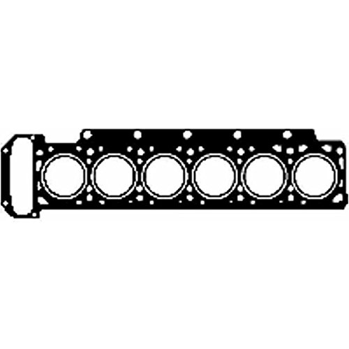 Reinz 61-24195-60 Dichtung, Zylinderkopf von Reinz