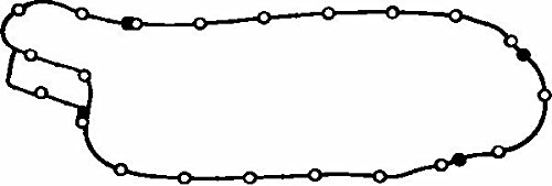 Reinz 71-31328-00 Dichtung, Ã–lwanne von Reinz