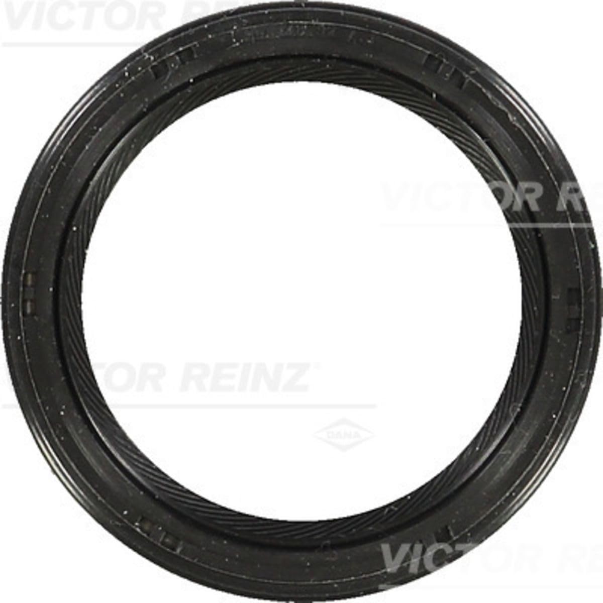 Reinz 81-53273-00 Wellendichtring, Nockenwelle von Reinz