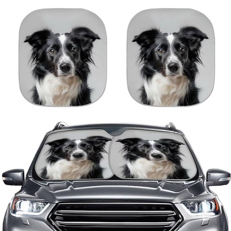 Renewold Niedliche Border Collie Auto Sonnenblende Mode Druck Frontscheibe Abdeckung Sonnenblende Hitze und UV-Strahlen, die Fahrzeug kühl halten 2 Stück Halten Sie Ihr Fahrzeug kühl Universal von Renewold