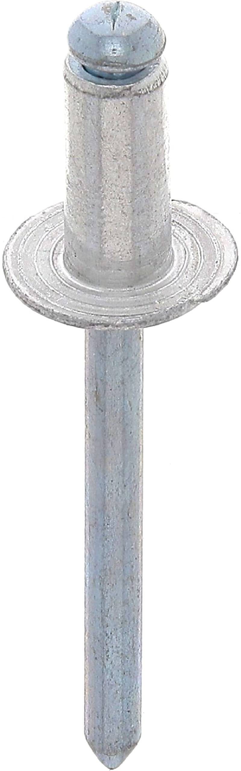 Restagraf 4055 Nieten, Grau, 4,8 mm x 12 mm von Restagraf