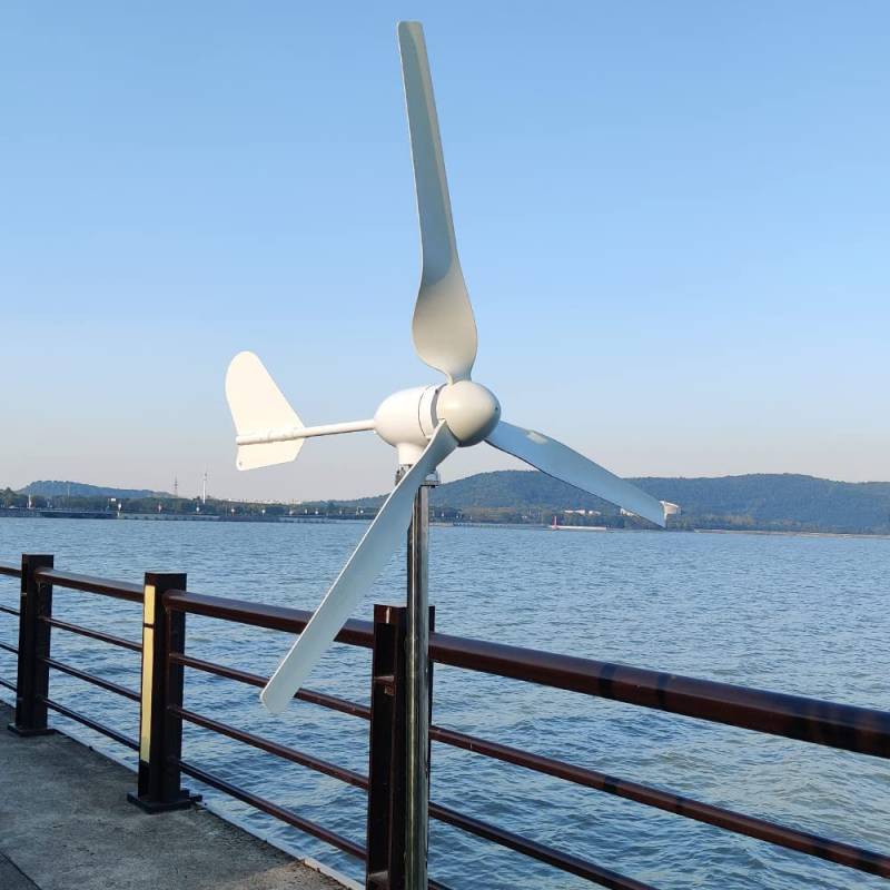 1000W Windkraftanlage 12V 24V 48V Windturbine mit MPPT Laderegler Windräder Windgenerator für Heimgebrauch (48V mit Regler) von Rewindagic