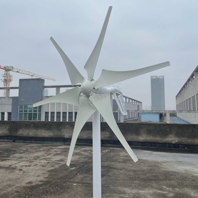 800W Windturbine Generator 48V 24v 12v Windkraftanlage 6 Blätter mit MPPT Laderegler Windmühlen für RV Yacht Farm Home Use (12V mit Regler) von Rewindagic