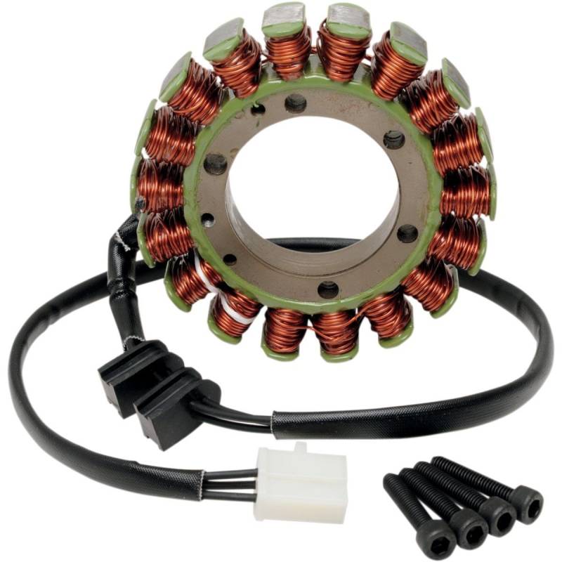 Rick 's Motorsport Elektro-Ricks Motorsport Elektrische STATOR 21–001 von Rick's Motorsport Electrics