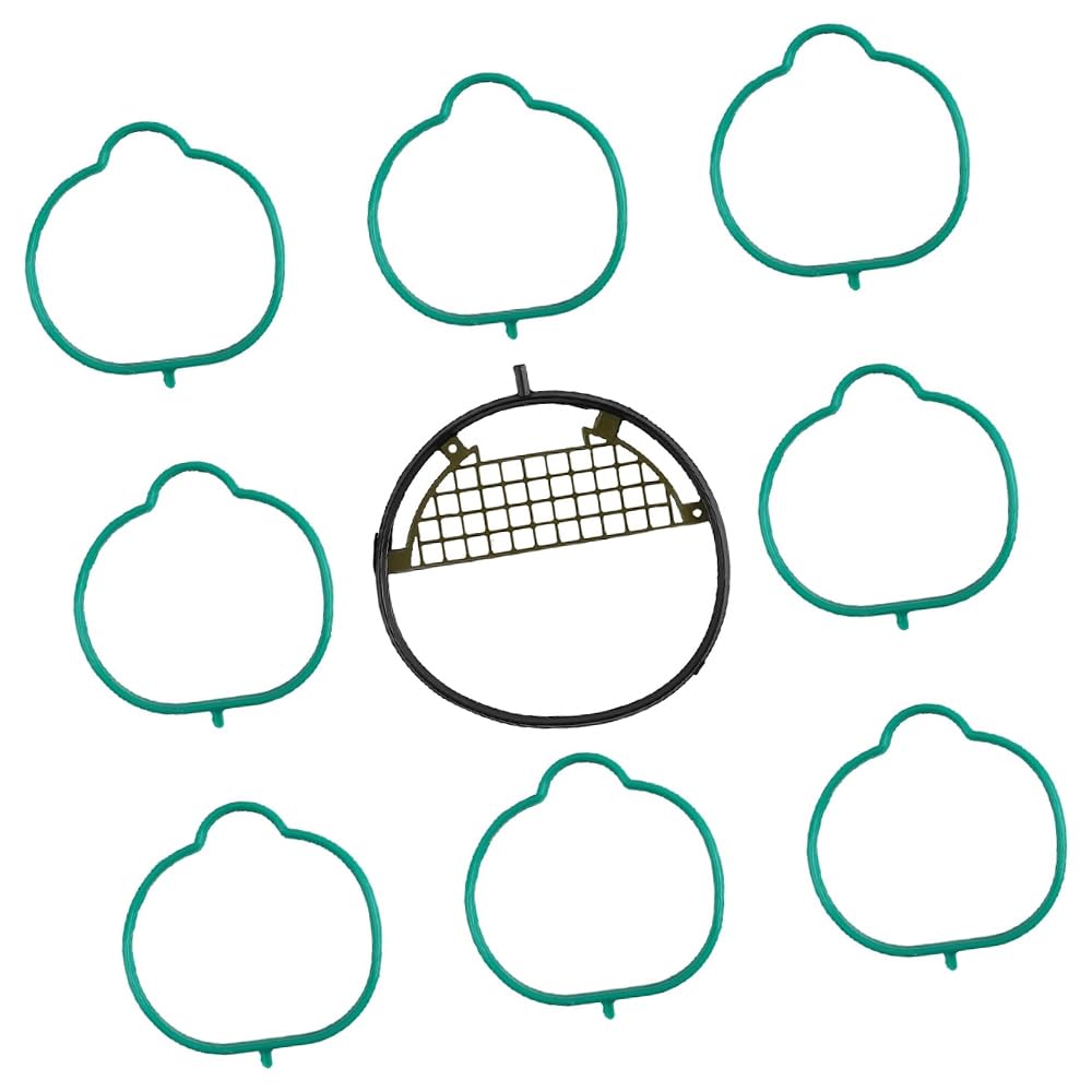 Riloer Ansaugkrümmer-Dichtungssatz, Motoransaugkrümmer-Dichtungsdichtung Kompatibel mit Infiniti QX56 5.6L V8 2004-2010, 8614965261, MS96945 von Riloer