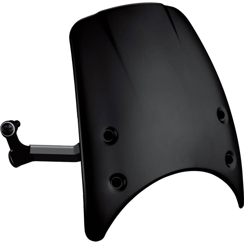 Rizoma Windschild Alu lang ZBW042B für BMW R nineT schwarz von Rizoma