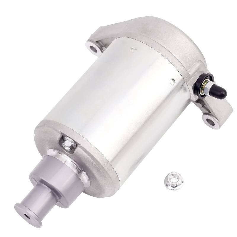 Road Passion Starter Motor Anlassermotor 1UY-81800-51-00 1UY8180051 SMU0065 495706 41054018 Kompatibel mit Yamaha ATV Big Bear 350 YFM350FH Raptor 350 YFM350 Warrior 350 YFM350X Moto 4 YFM350ER YFP350 von Road Passion