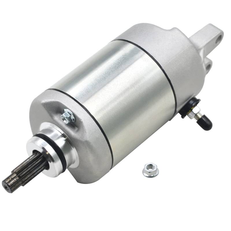 Road Passion Starter Motor Anlassermotor SM13213 SMU0028 Kompatibel mit Honda ATC250 ATC250ES TRX250 TRX300 31200-HA0-773 31200-HA0-774 31200-HA6-306 31200-HA6-316 31200-HA6-774 31200-HC4-003/023 von Road Passion