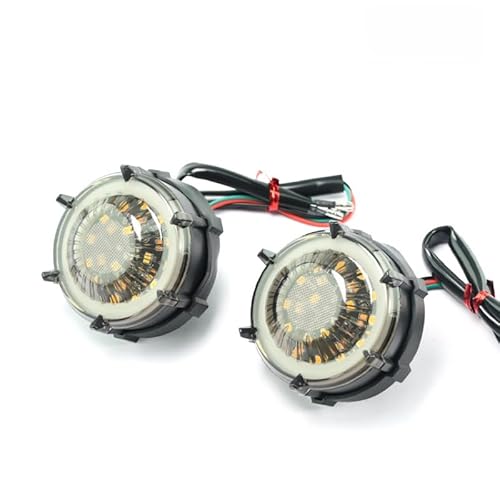 Rookiemotor Motorrad LED Blinker, 12V Universal, 2 Stück, Tagfahrlicht, Turbinen-Design (Weißes Licht der Turbine) von Rookiemotor