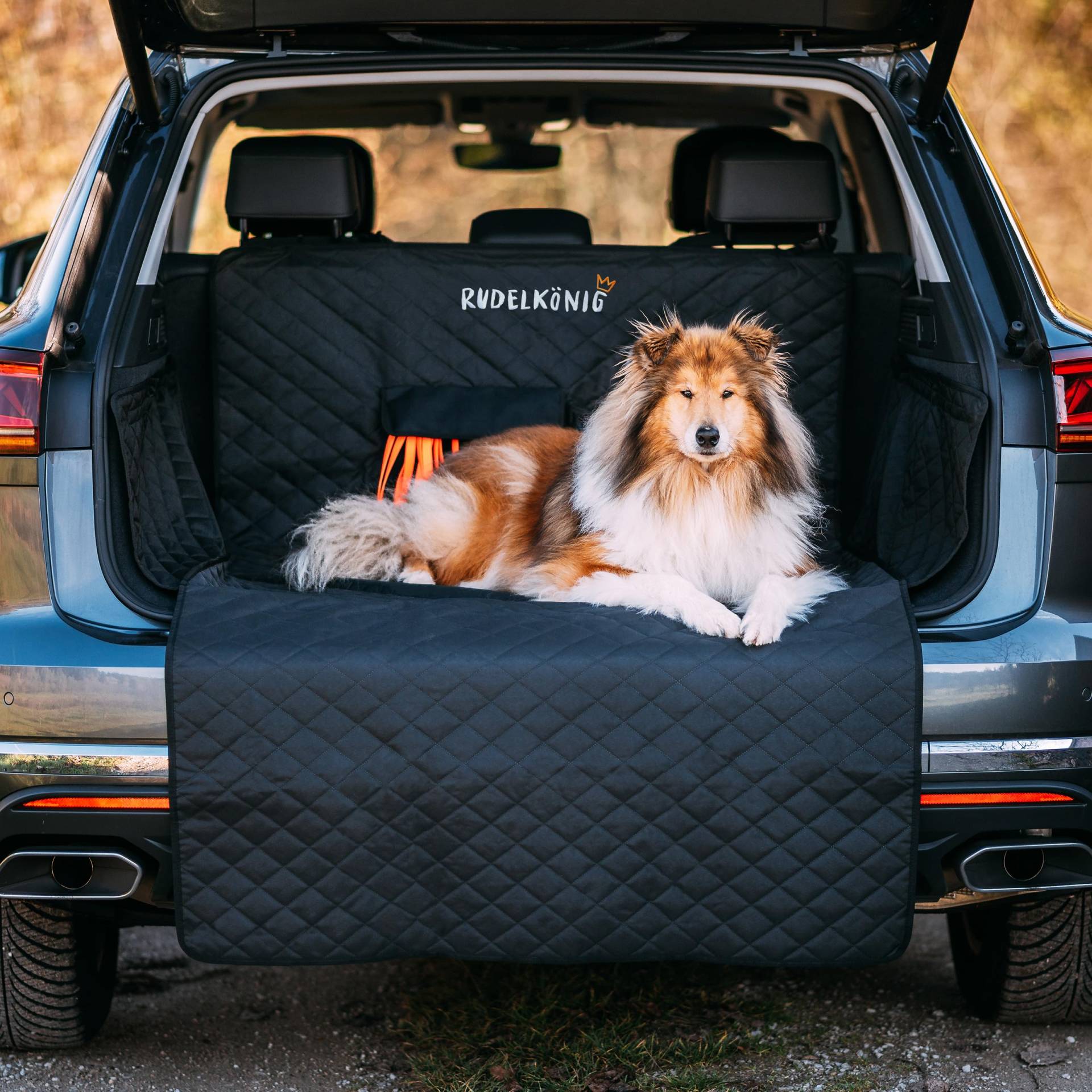 Rudelkönig Kofferraumschutz Hund mit Ladekantenschutz - Wasserabweisend & Kratzfest - Gesteppte Auto Hundedecke mit Tasche - Universale Kofferraum Schutzmatte für Hunde von Rudelkönig