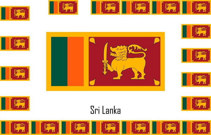 Sortiment 15 Aufkleber Vinyl Sticker flag Flagge sri-lanka von SAFIRMES