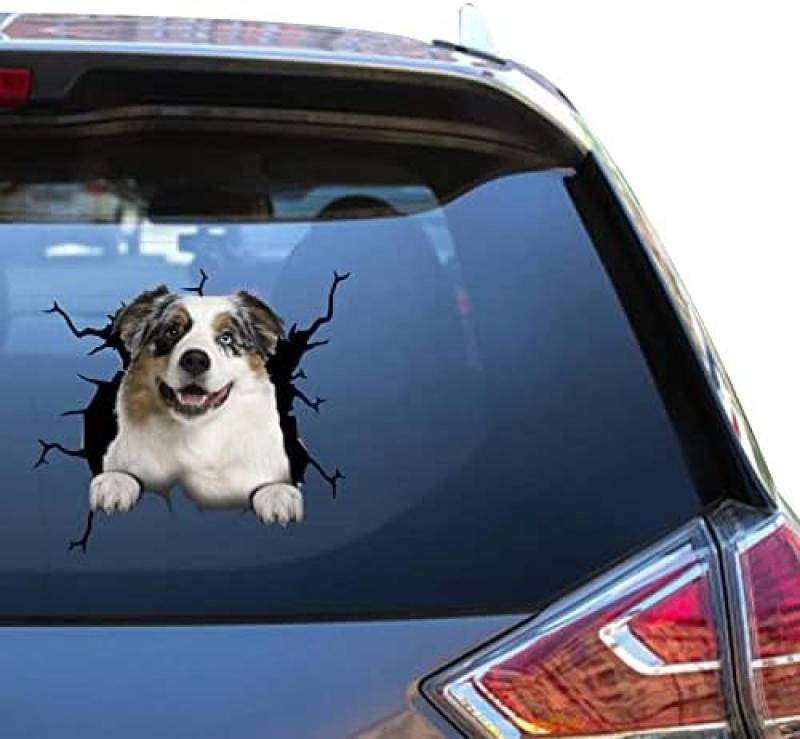 SANTPOT Geschenk Australian Shepherd Vinyl-Aufkleber Australian Shepherd Vynal Büroaufkleber Für Männer wasserdichte Fahrzeugaufkleber von SANTPOT