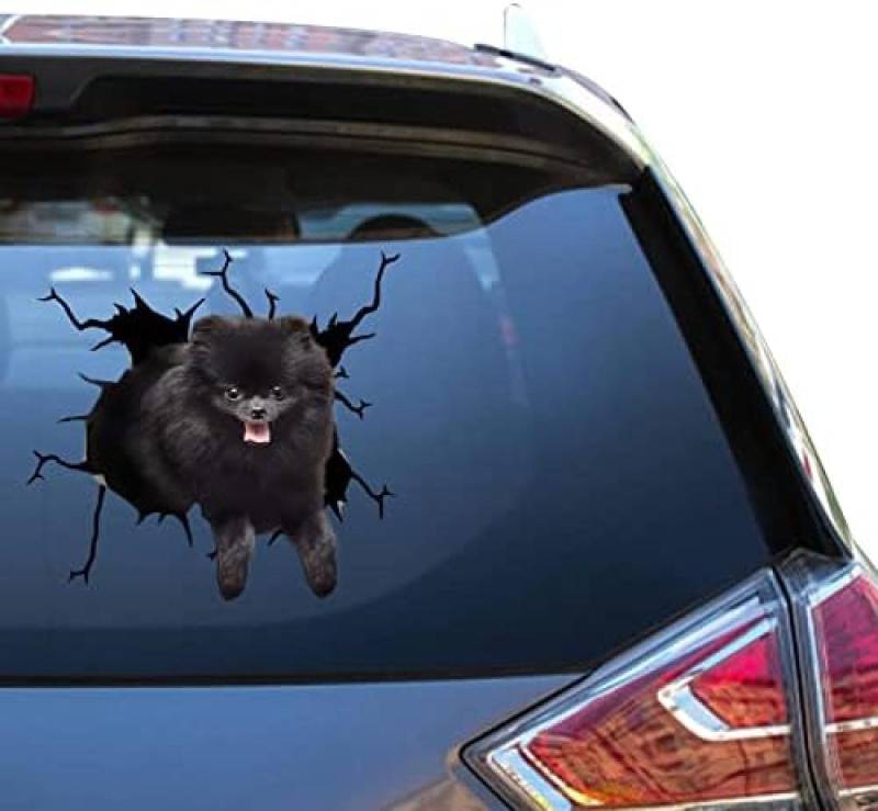 SANTPOT Pommerscher Aufkleber, Pomeranian-Geschenk, Lustige Witze, Vinyl-Fensteraufkleber Für Eltern, Lustige Gesichtswarnung, Motorrad-Aufkleber von SANTPOT