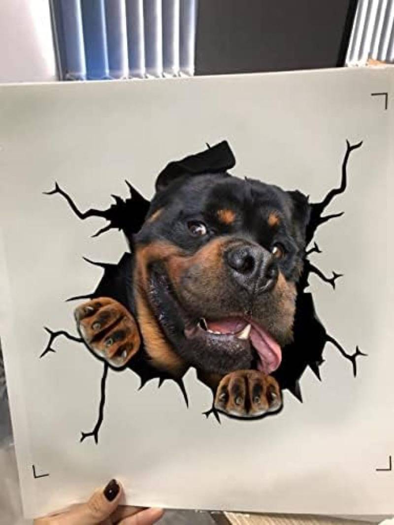 SANTPOT Rottweiler-Aufkleber, 3D-Rottweiler-Hund, Autofenster-Aufkleber, LKW-Aufkleber (süßer Rottweiler-Aufkleber) von SANTPOT