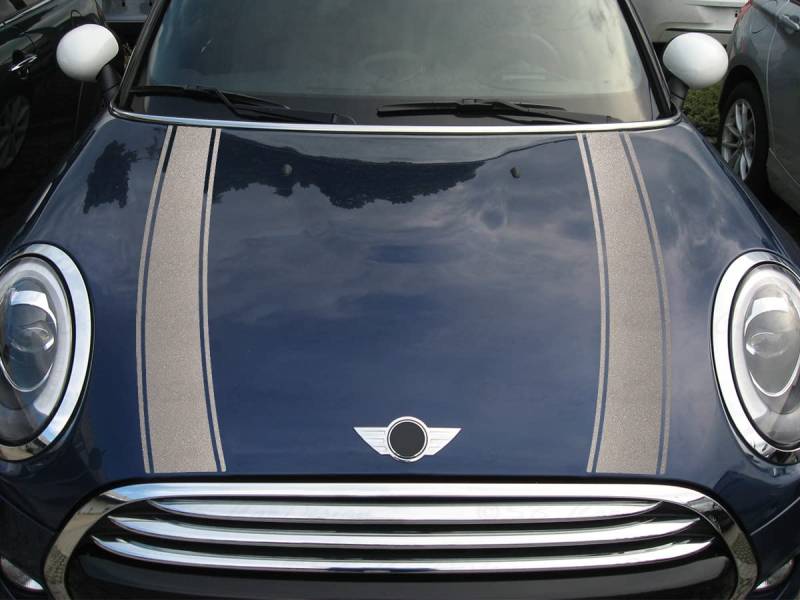 Streifen Stripes Aufkleber Motorhaube für F55 F56 F57 Mini Cooper (Silber metallic, Design 2) von SB CarDesign