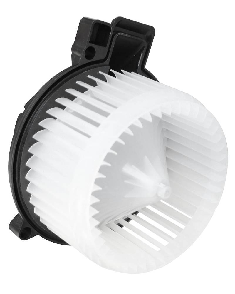 SCITOO HVAC-Heizungsgebläsemotor mit Lüfterkäfig, passend für Ford Fusion 2006–2009, Lincoln MKZ 2007–2009, Lincoln Zephyr 2006, Mercury für Mailand 2006–2009, ersetzt 700169 von SCITOO